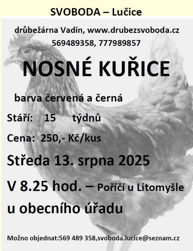 nosné kuřice