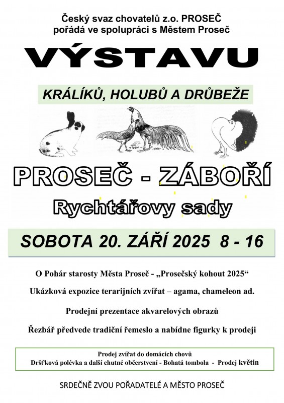 výstava